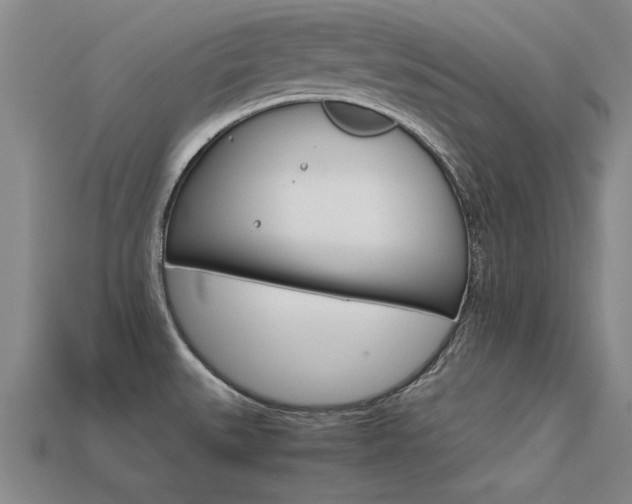 X0000113601527200909181058