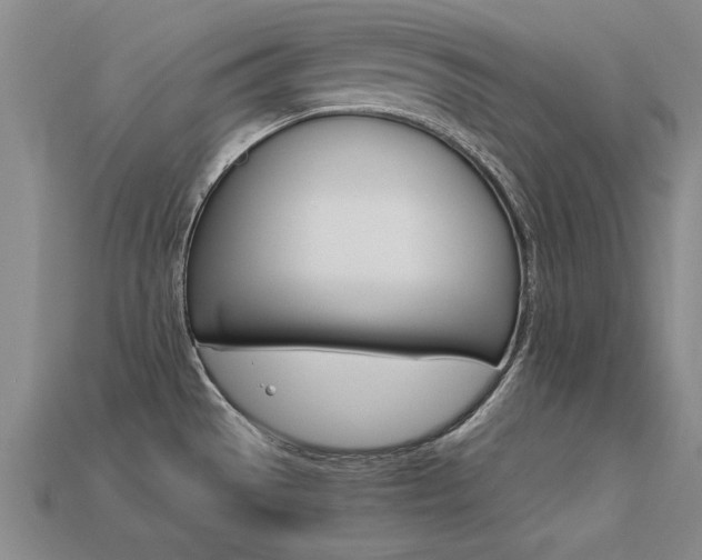 X0000113601529200909181058