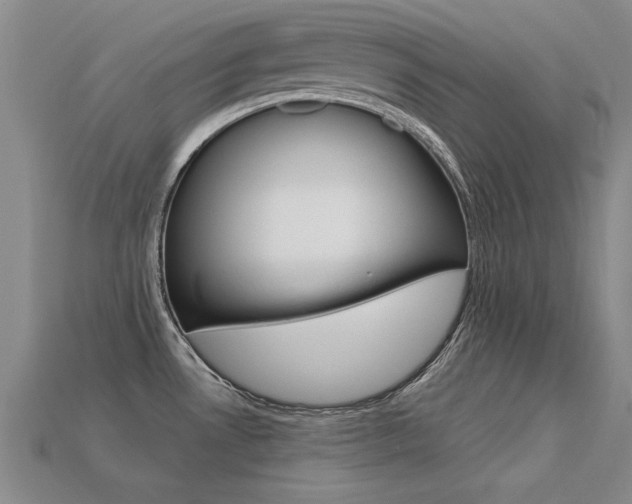 X0000113601530200909181058