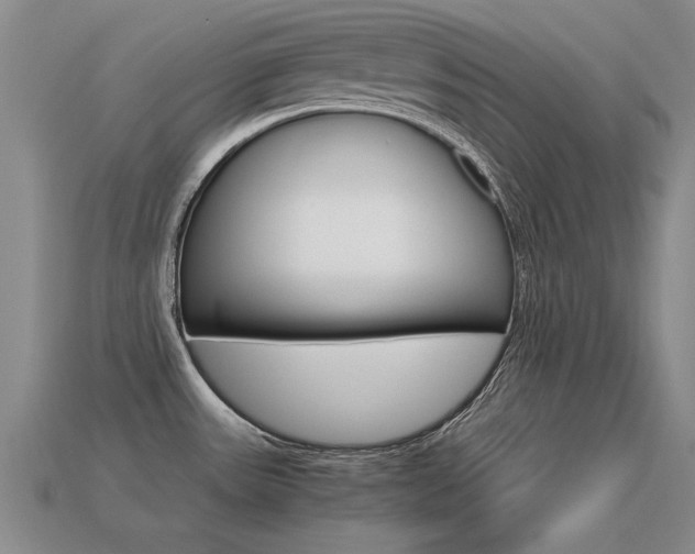 X0000113601531200909181058
