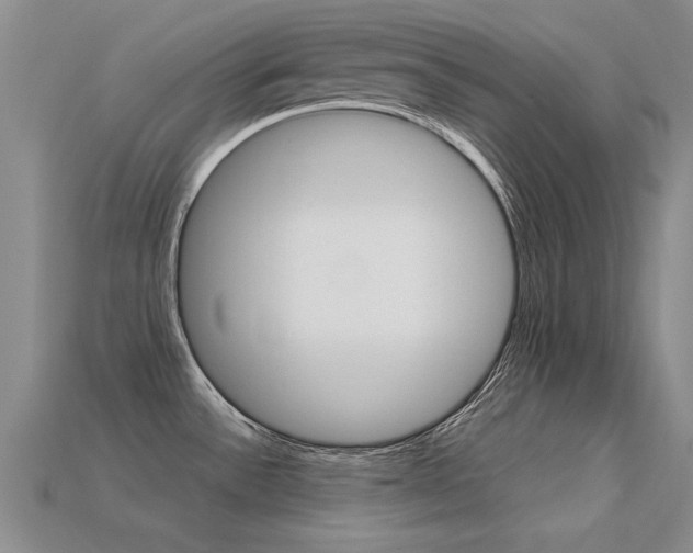 X0000113601532200909181058