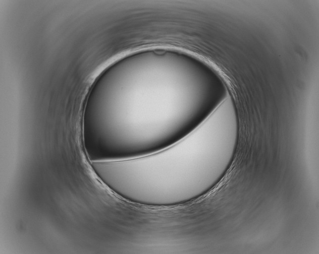 X0000113601534200909181058