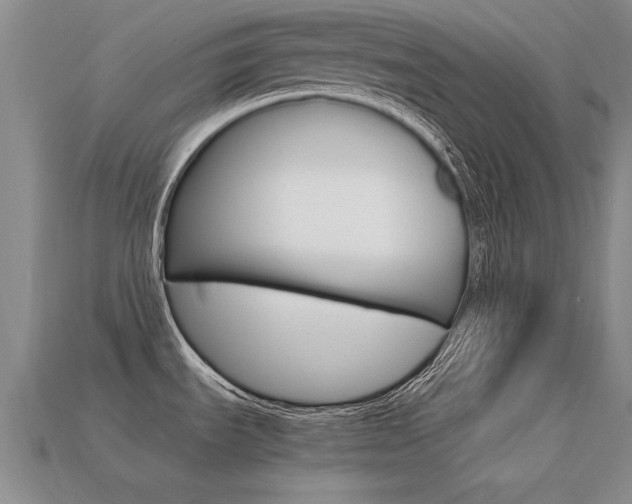 X0000113601535200909181058