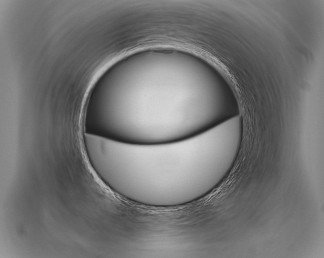 X0000113601536200909181058