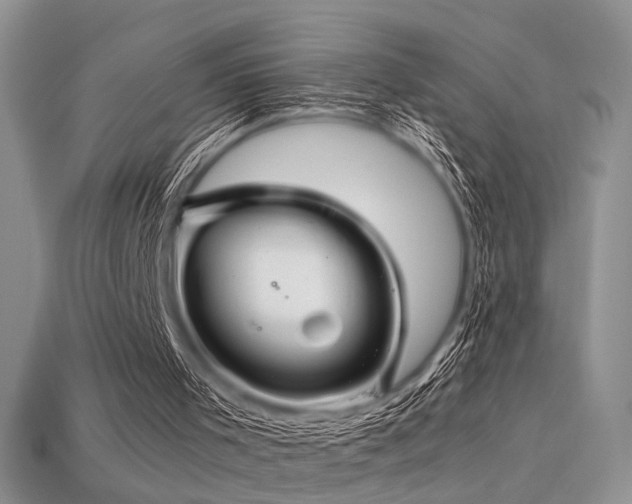 X0000113600001200909181401