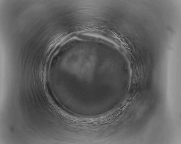 X0000113600002200909181401