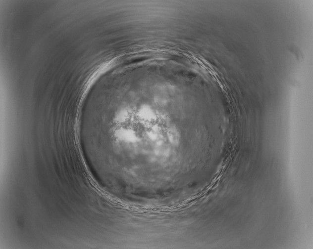 X0000113600003200909181401