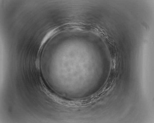 X0000113600004200909181401