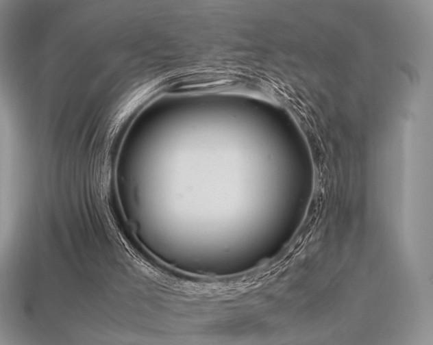 X0000113600005200909181401