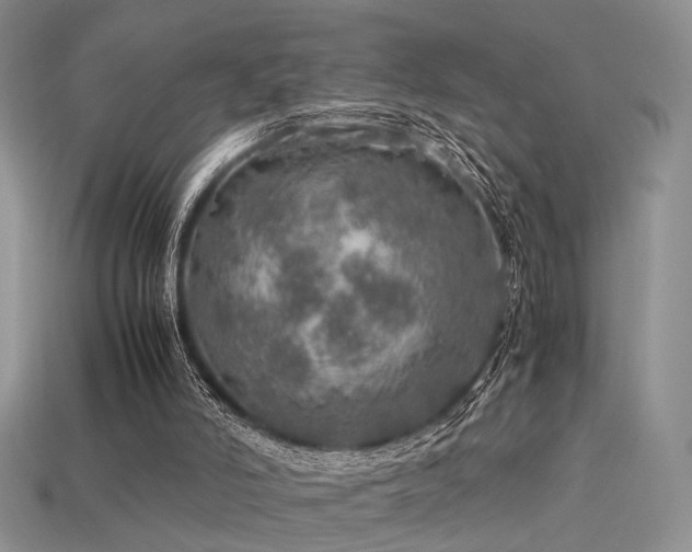 X0000113600006200909181401