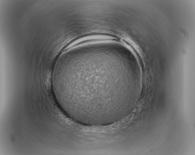 X0000113600009200909181401