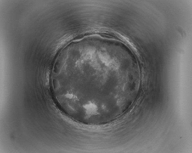 X0000113600010200909181401