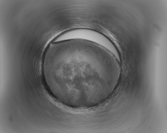 X0000113600012200909181401