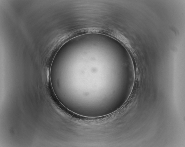 X0000113600013200909181401