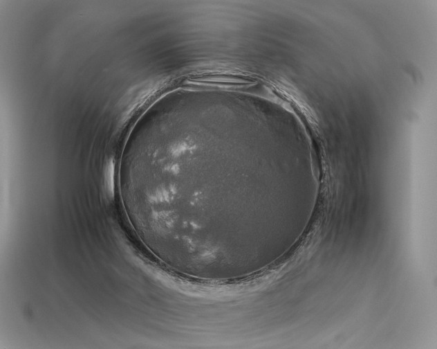 X0000113600014200909181401