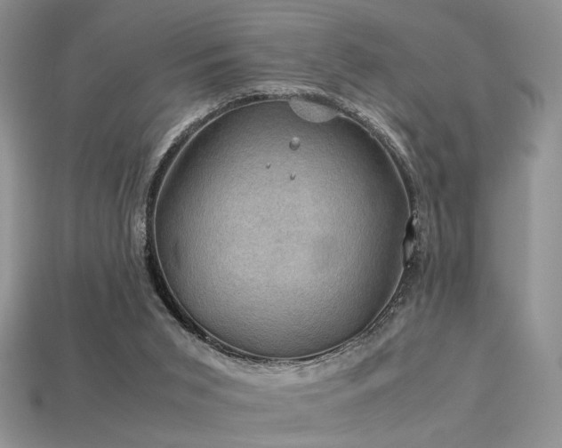 X0000113600015200909181401