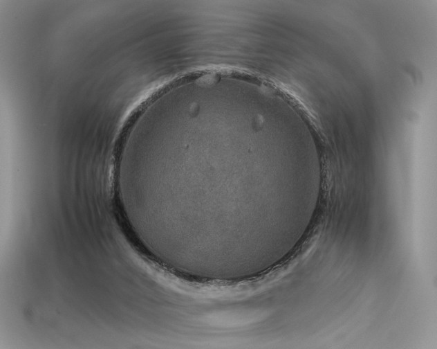 X0000113600016200909181401