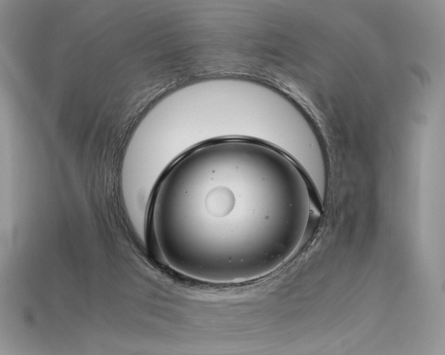 X0000113600017200909181401