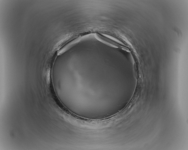 X0000113600019200909181401