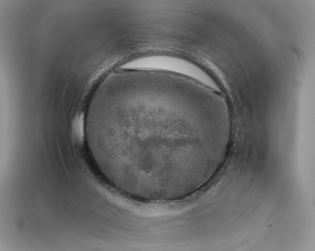 X0000113600020200909181401