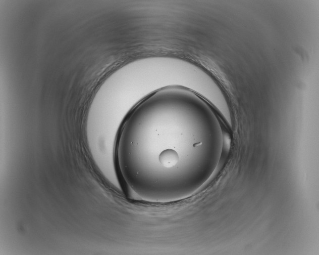 X0000113600021200909181401