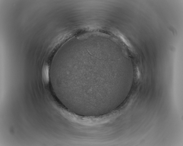 X0000113600022200909181401