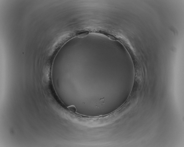 X0000113600023200909181401