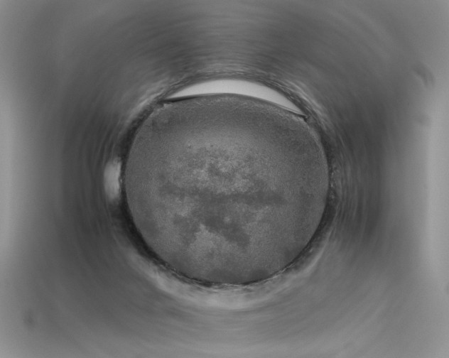 X0000113600024200909181401