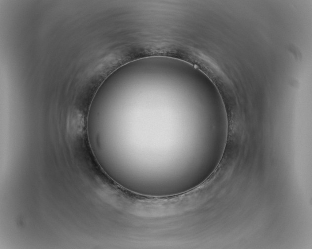 X0000113600025200909181401