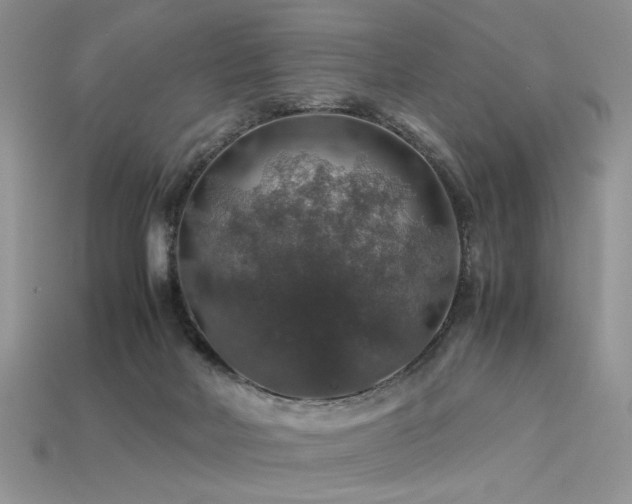 X0000113600026200909181401