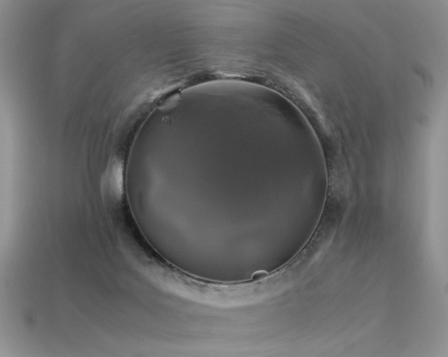 X0000113600027200909181401