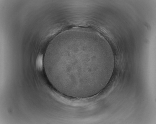 X0000113600028200909181401