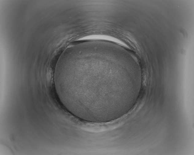 X0000113600029200909181401