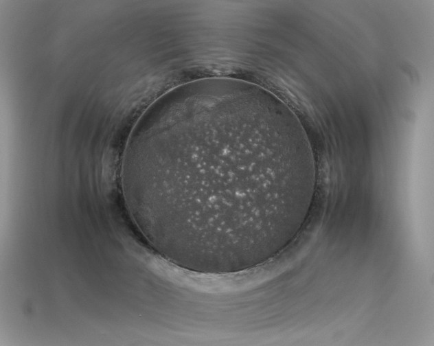 X0000113600030200909181401