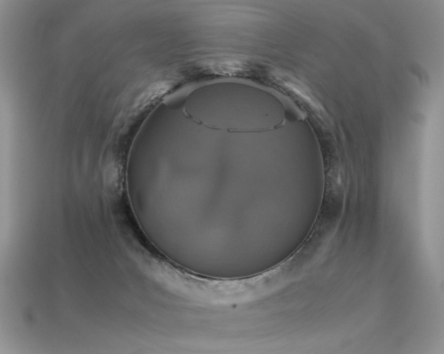 X0000113600031200909181401