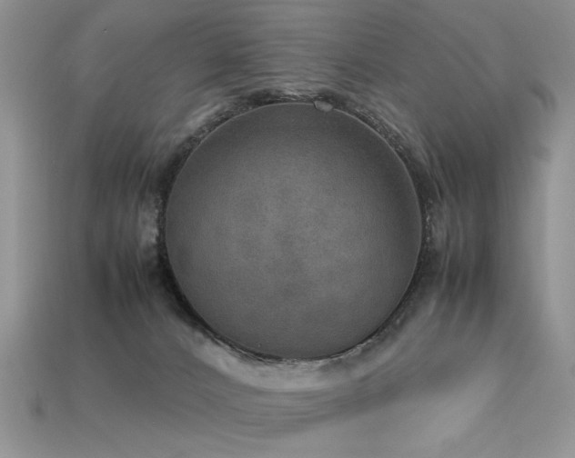 X0000113600032200909181401