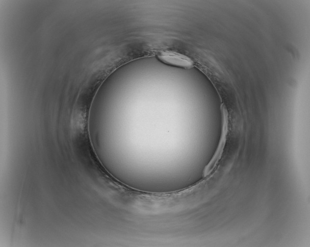 X0000113600033200909181401