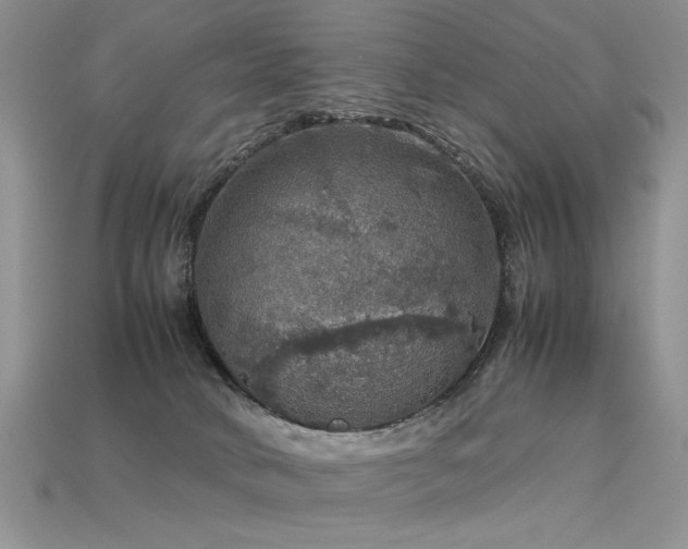 X0000113600034200909181401