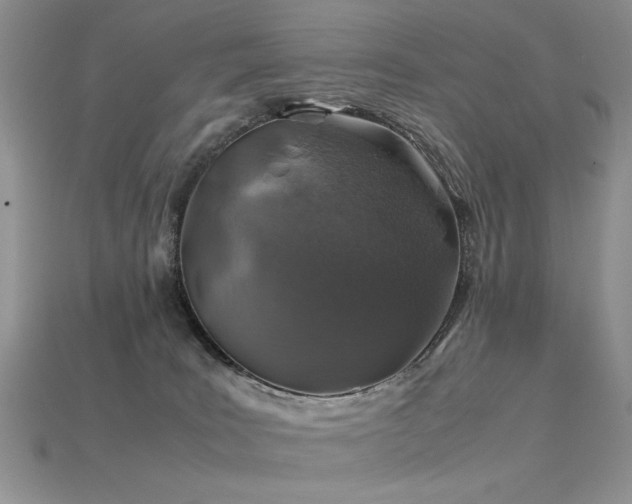 X0000113600035200909181401