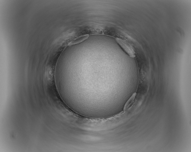 X0000113600037200909181401