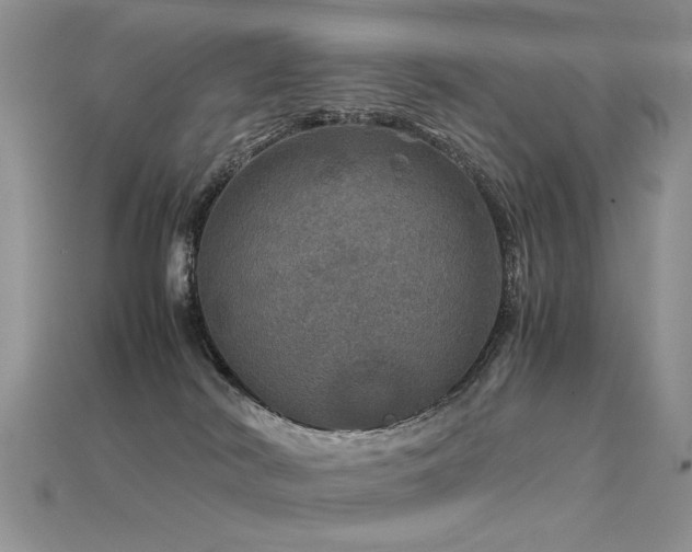 X0000113600038200909181401