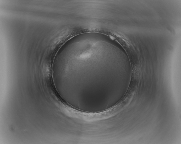 X0000113600039200909181401