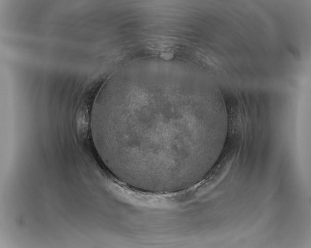 X0000113600040200909181401