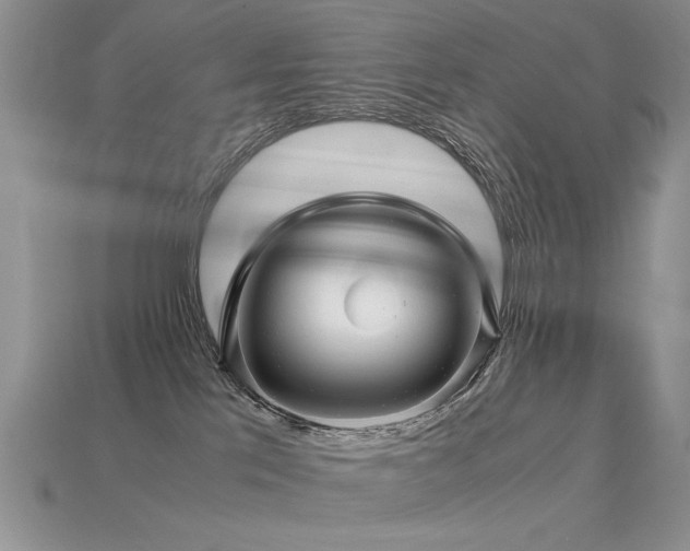 X0000113600041200909181401