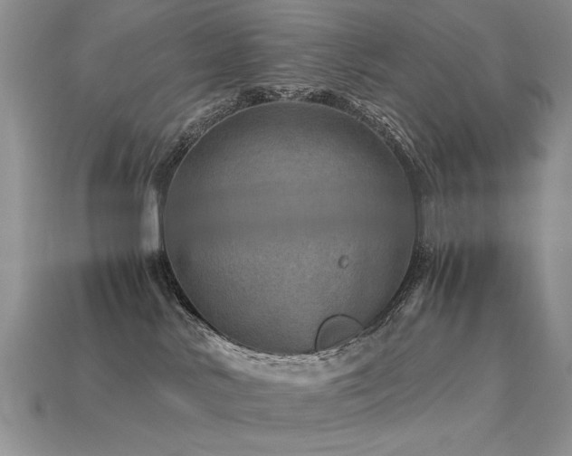 X0000113600042200909181401