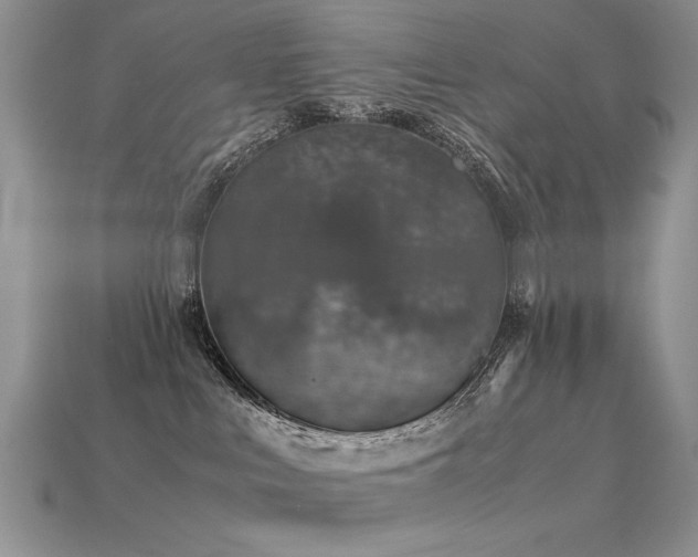 X0000113600043200909181401