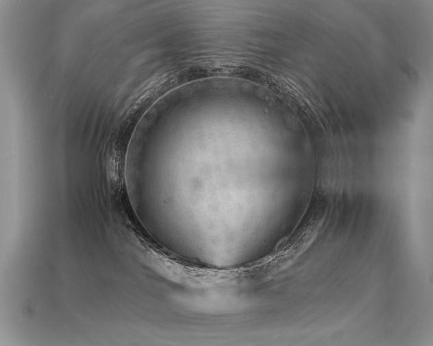 X0000113600044200909181401