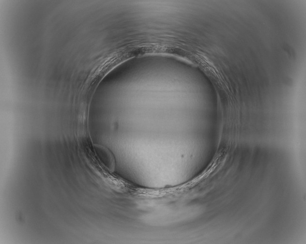 X0000113600045200909181401