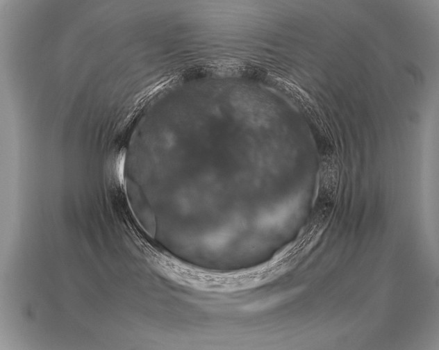 X0000113600047200909181401