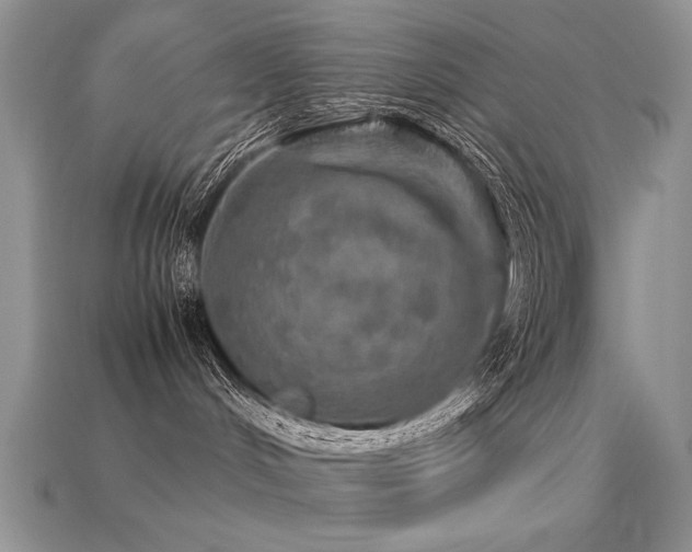 X0000113600048200909181401